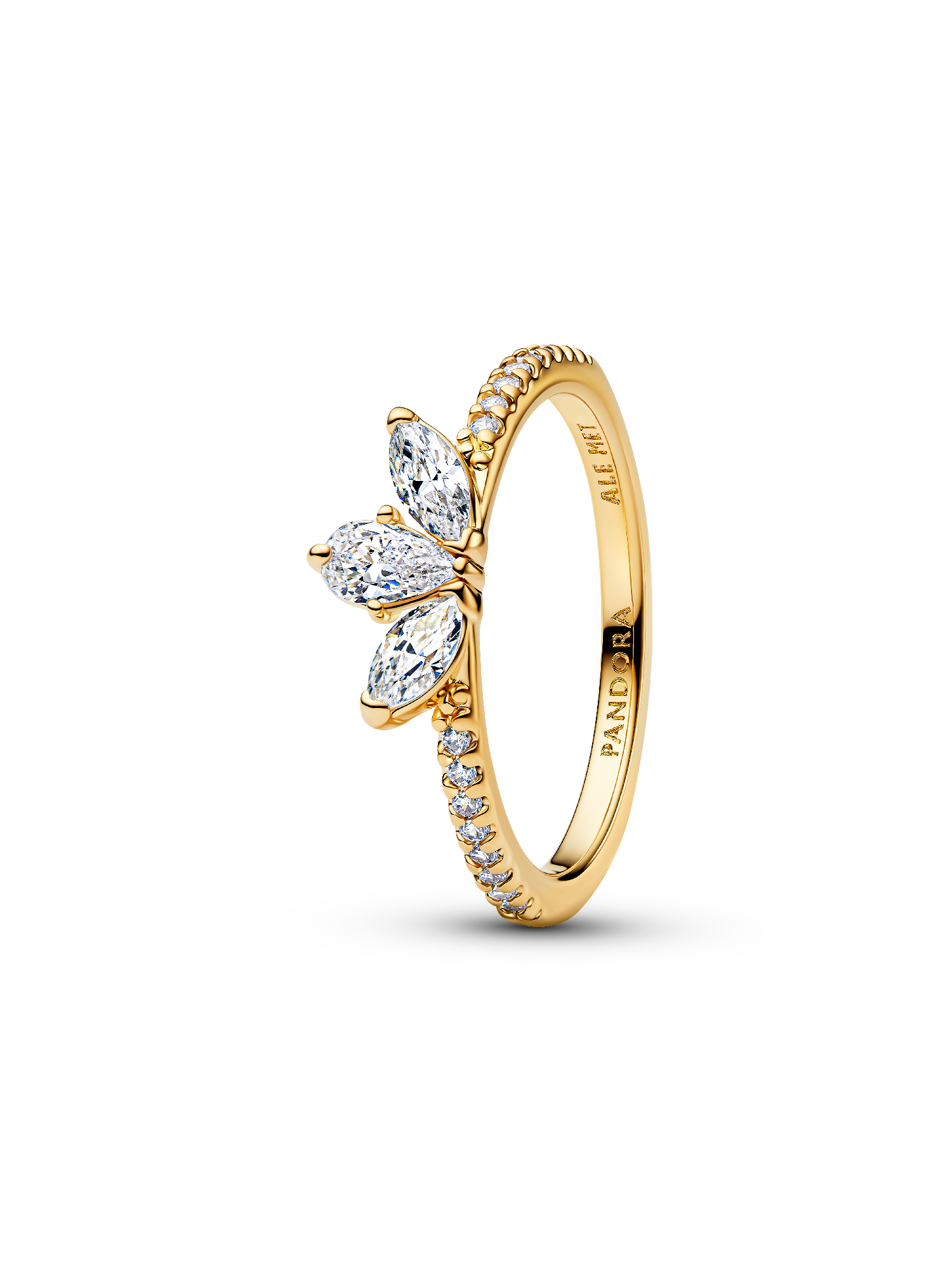 Anillo Ramo Herbario Brillante