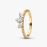 Anillo Ramo Herbario Brillante Anillo Ramo Herbario Brillante