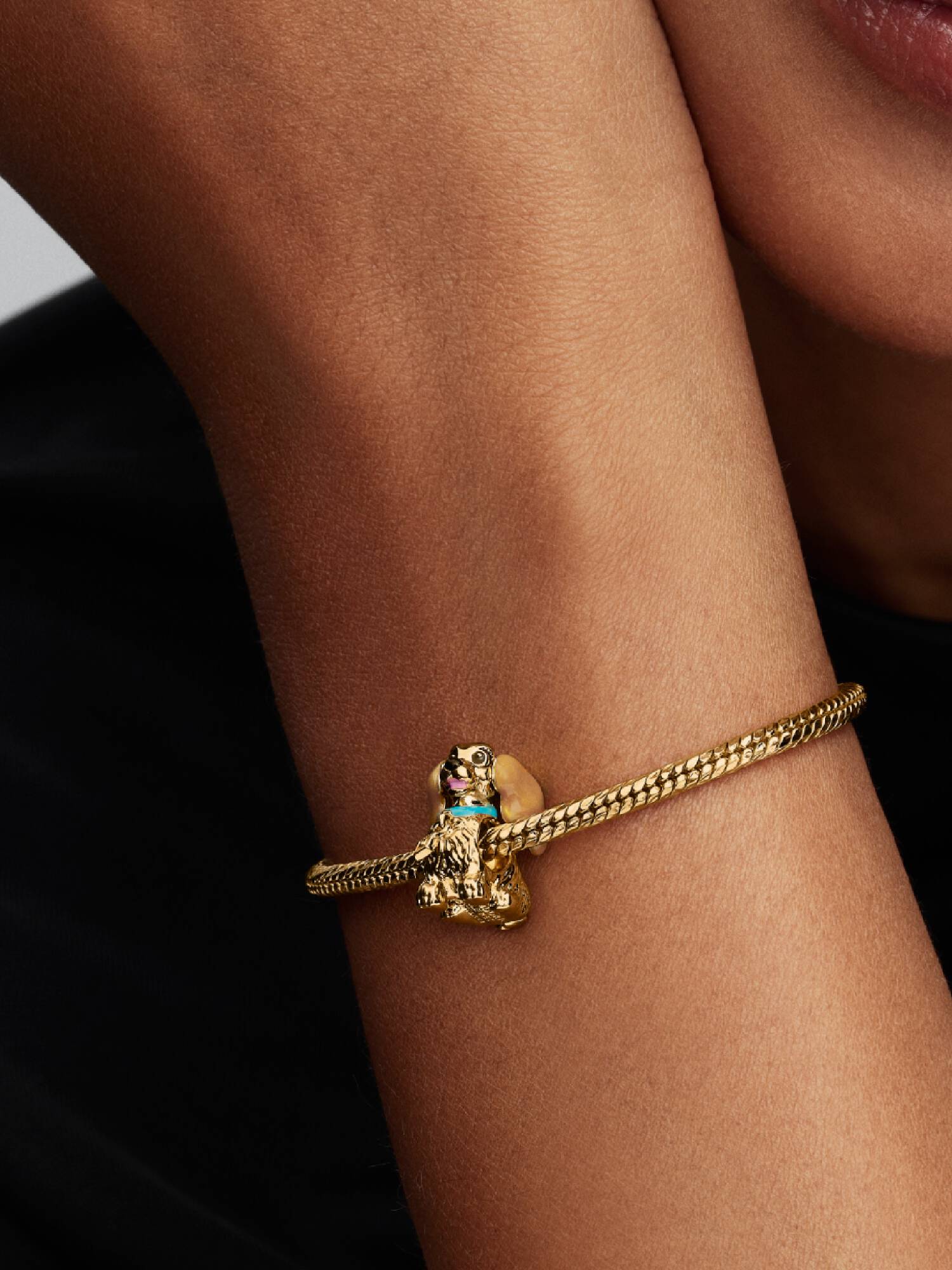 Charm Lady de Disney