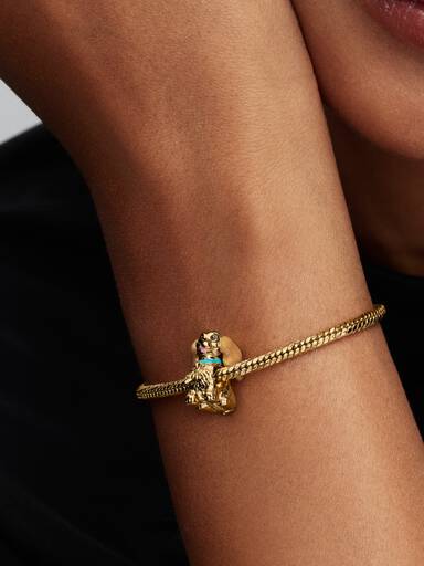 Charm Lady de Disney