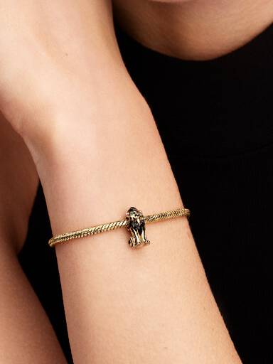 Charm de Scar Disney Villanos