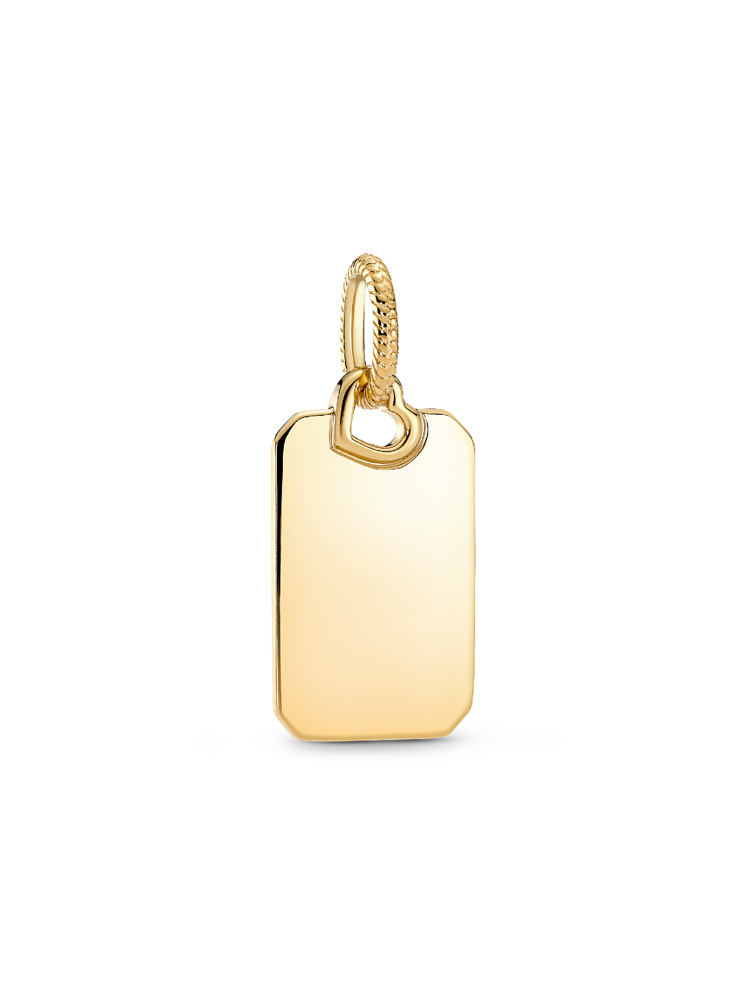 Dije Etiqueta Rectangular Grabable Dorado