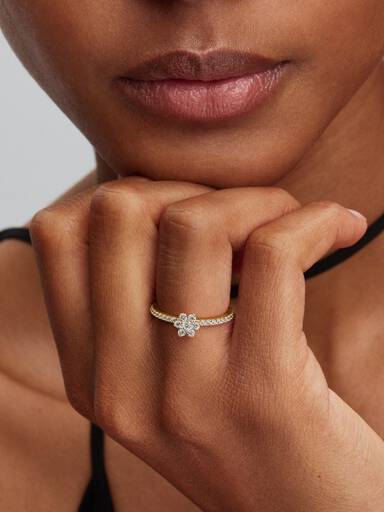 Anillo Hoja Brillante