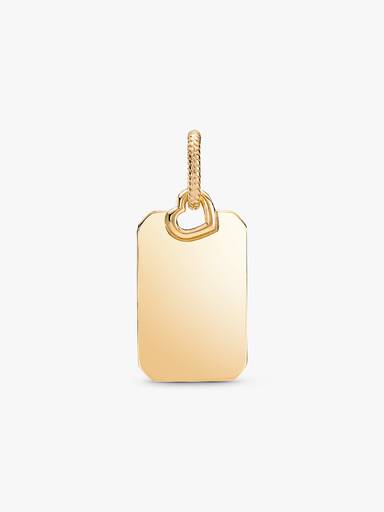 Dije Etiqueta Rectangular Grabable Dorado