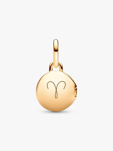 Charm Colgante Medalla Grabable que se abre Talla única Shine
