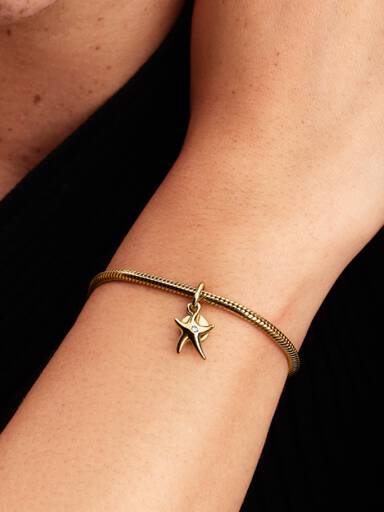Dije Colgante Doble Estrella de Mar