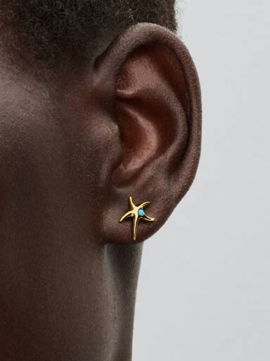 Aros de botón estrella de mar