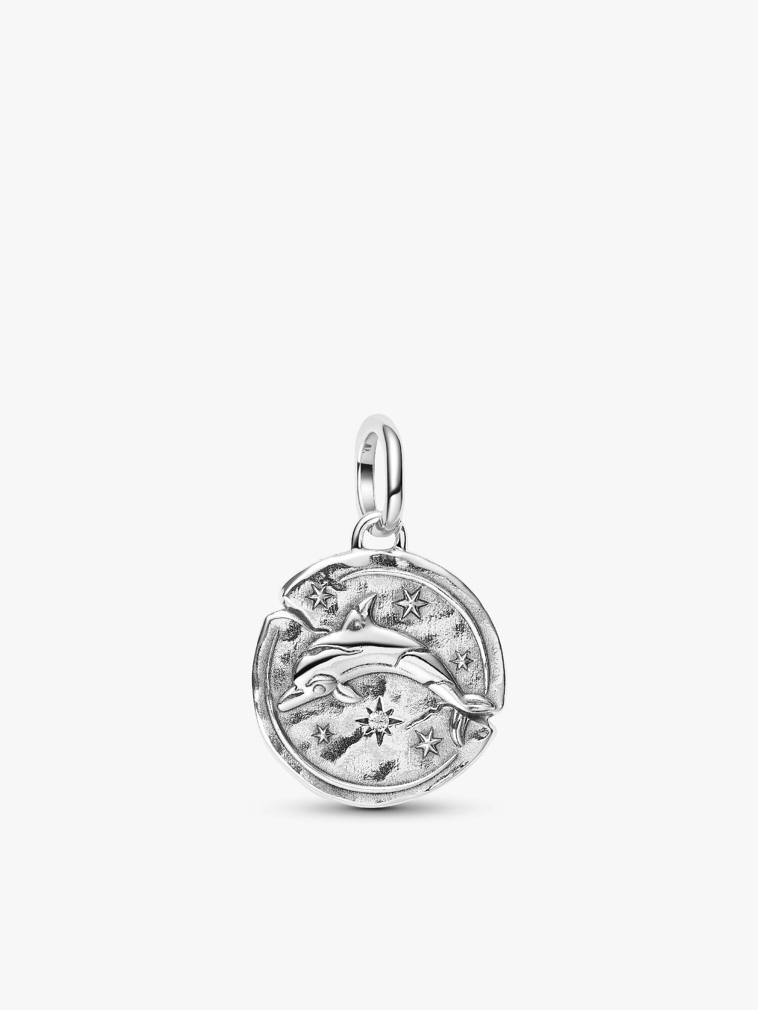 Charm Medallón Delfín