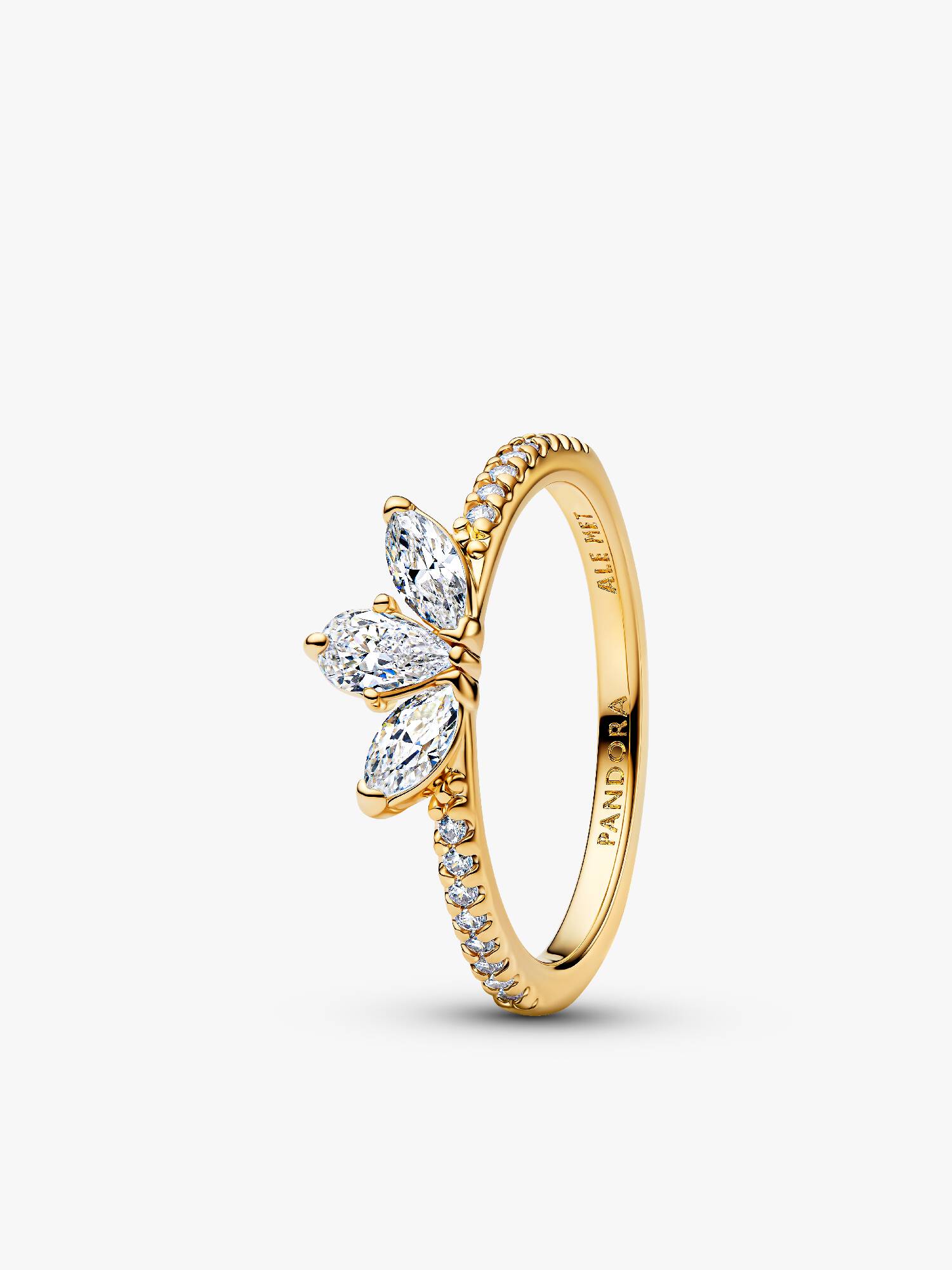 Anillo Ramo Herbario Brillante