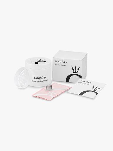 Jewellery care kit