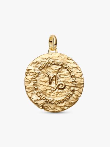Charm Medallón grande del Signo del Zodiaco Capricornio