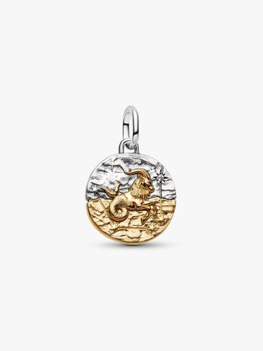 Charm Medallón Signo del Zodiaco Capricornio