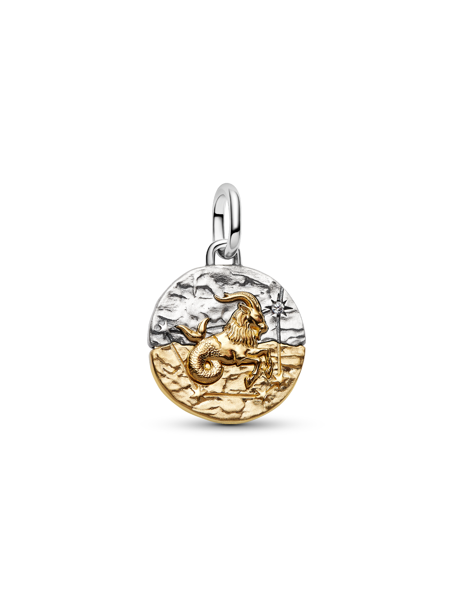 Charm Medallón Signo del Zodiaco Capricornio