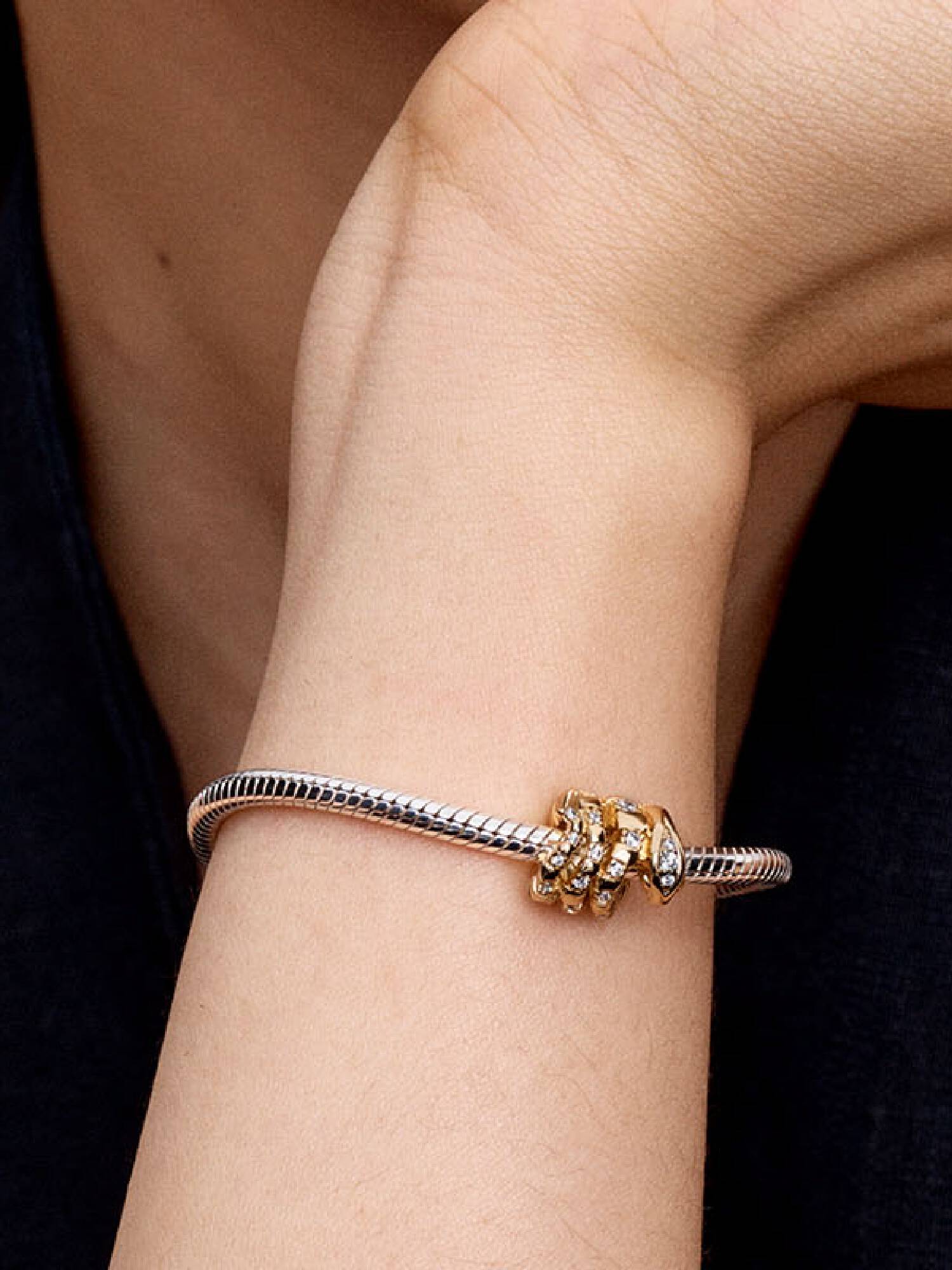 Charm Serpiente Enroscada Talla única