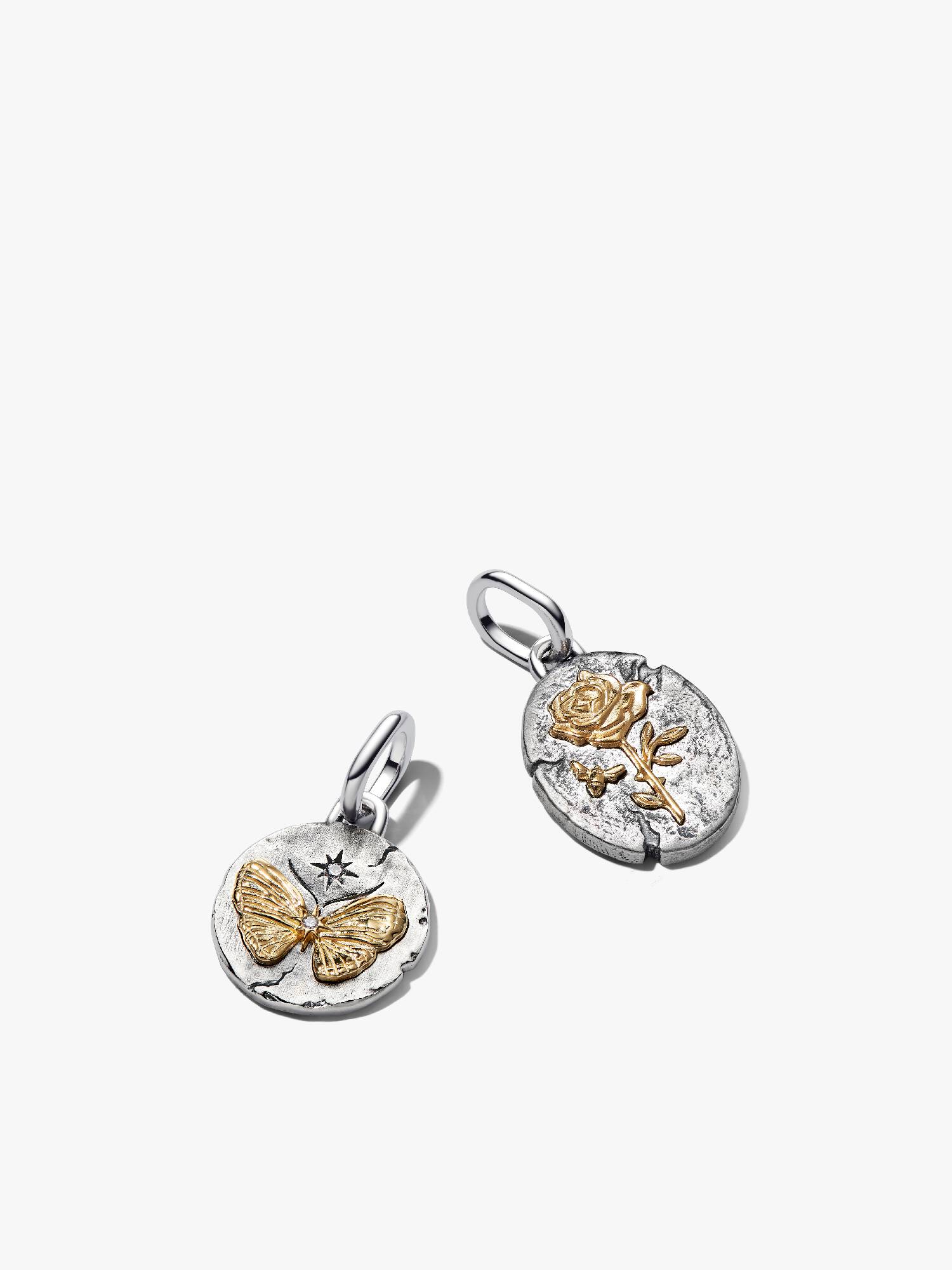 Dúo de Charms Medallón Mariposa y Rosa
