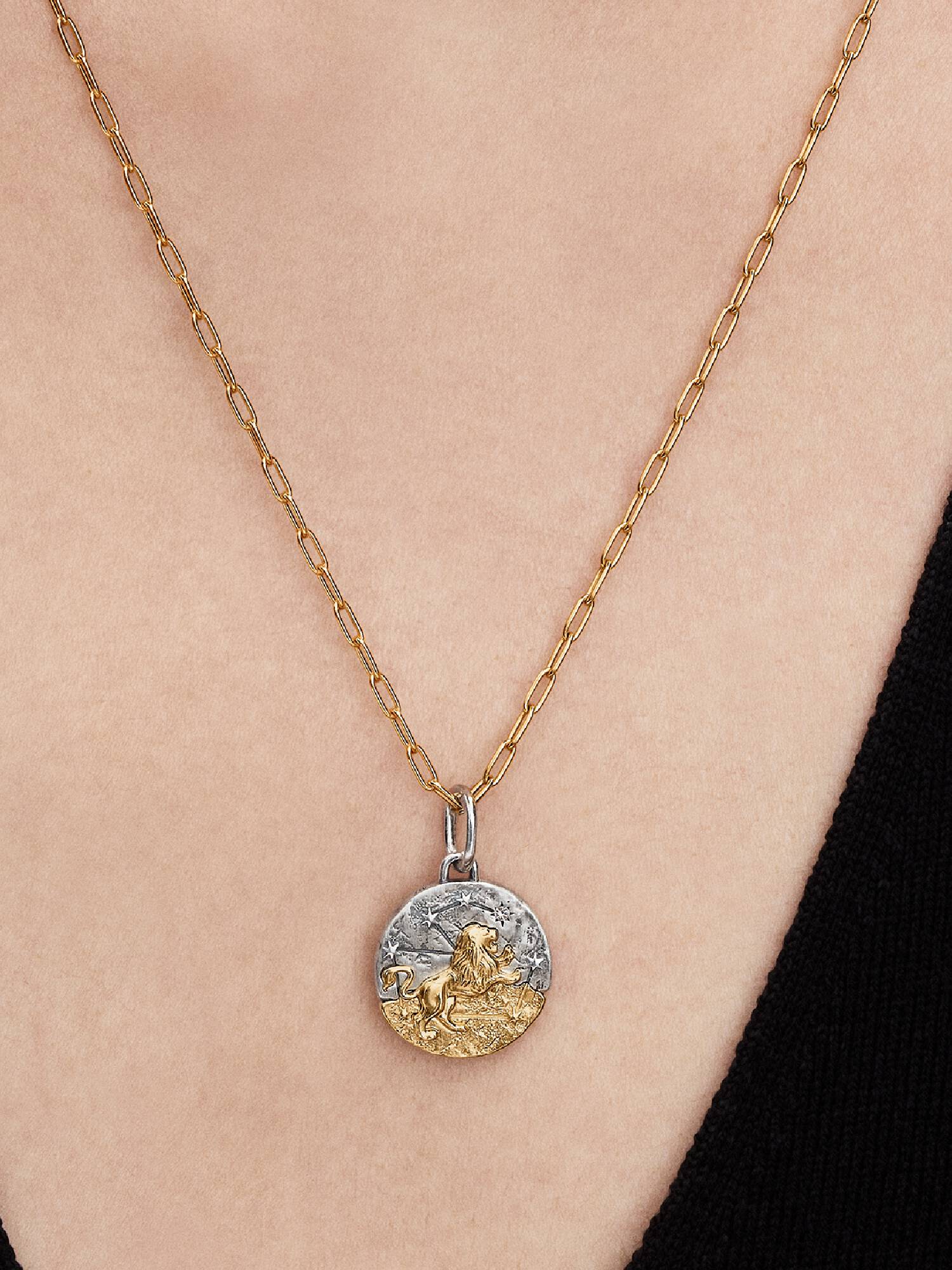 Charm medallón del signo del zodiaco Leo