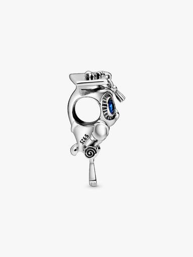 Charm de graduación Búho Sabio