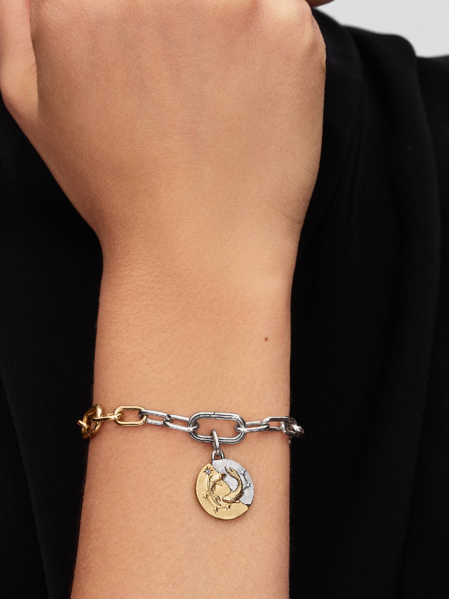 Charm Medallón del signo del zodiaco Piscis