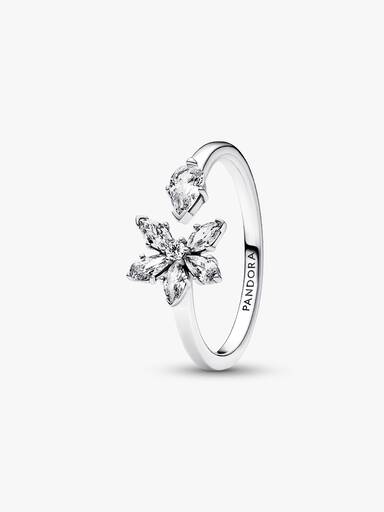 Anillo abierto Herbario Brillante 50
