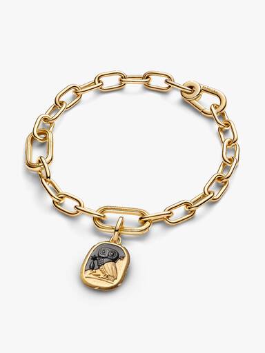 Charm Medallón Buho