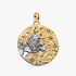 Charm Medallón Signo del Zodiaco Grande Leo Charm Medallón Signo del Zodiaco Grande Leo