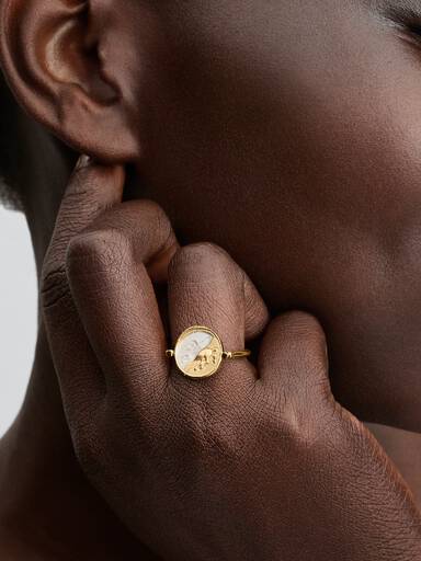 Anillo Medallón Reversible Pegaso