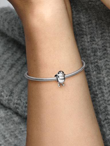 Charm Pingüino Esquiador