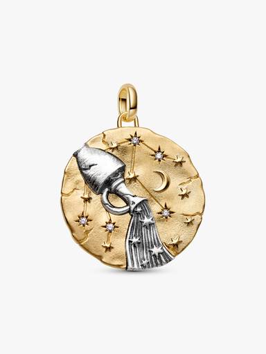 Charm medallón extra grande medallón del signo del zodiaco Acuario