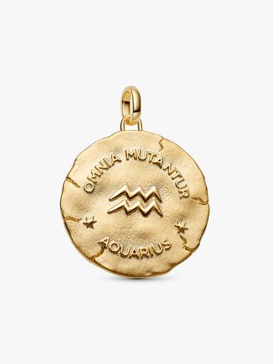 Charm medallón extra grande medallón del signo del zodiaco Acuario