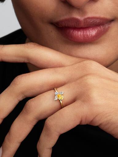 Anillo Abeja Miel