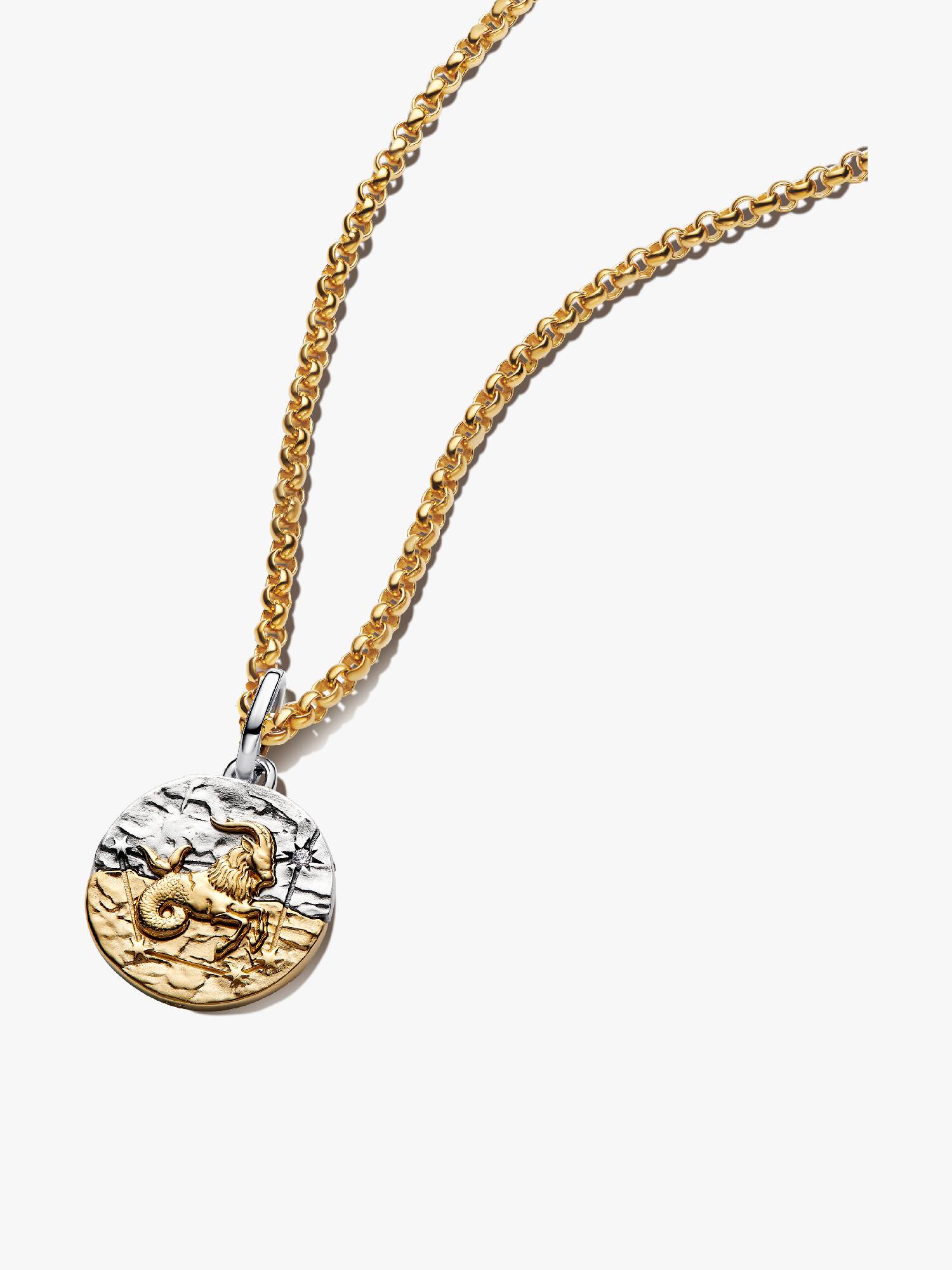 Collar con Colgante Talismán de Capricornio
