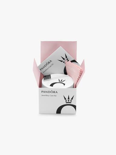 Jewellery care kit