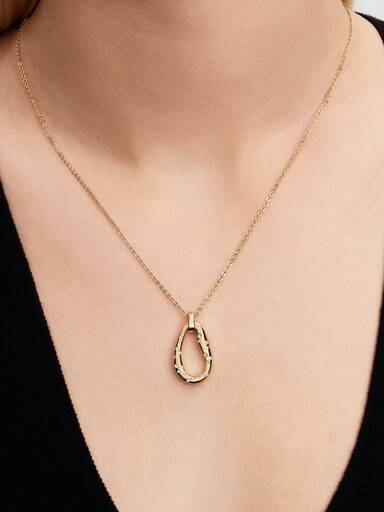 Collar con Colgante en Dos Tonos Forma Orgánica