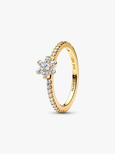 Anillo Hoja Brillante