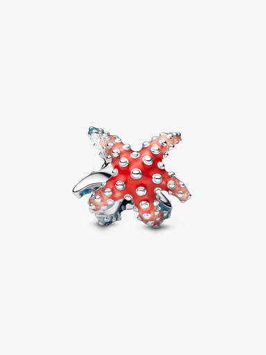 Mini Dije Colorido Estrella de Mar