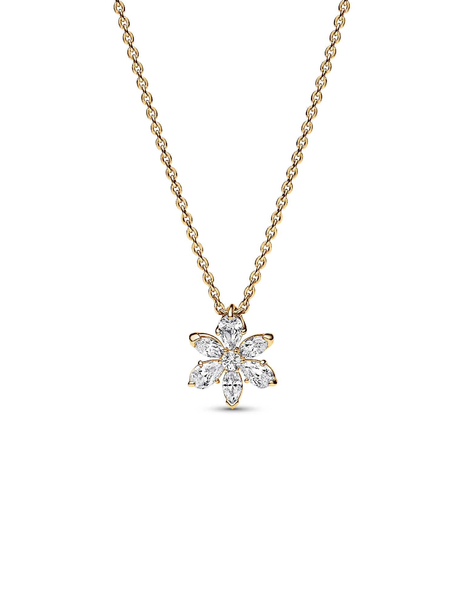 Collar Herbario Brillante