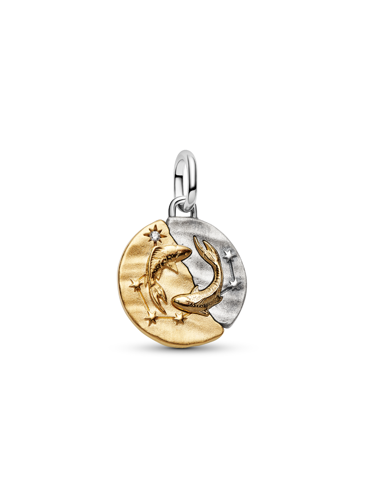 Charm Medallón del signo del zodiaco Piscis