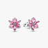 Aros de botón Flor Herbario rosa brillante Aros de botón Flor Herbario rosa brillante