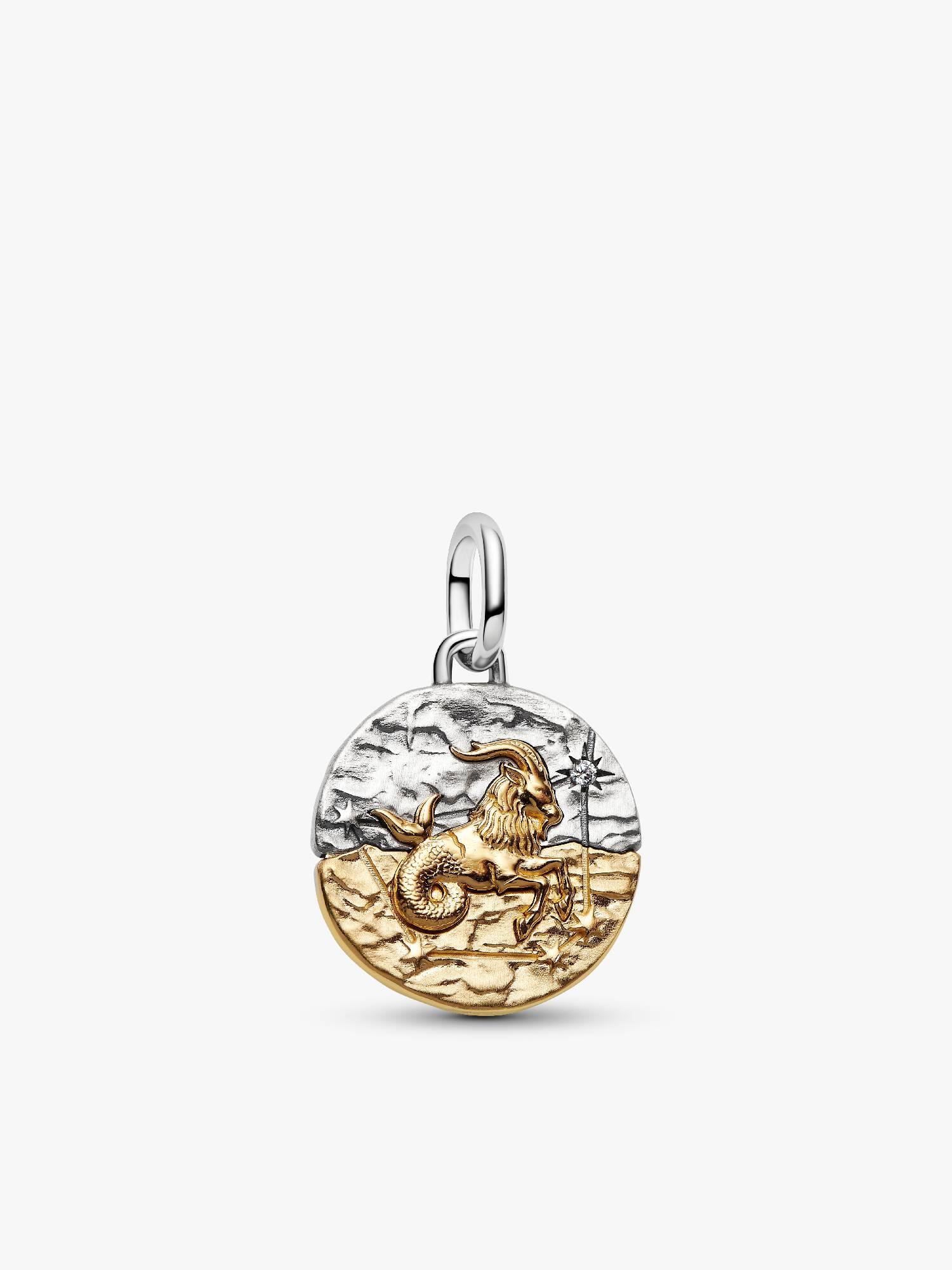 Charm Medallón Signo del Zodiaco Capricornio