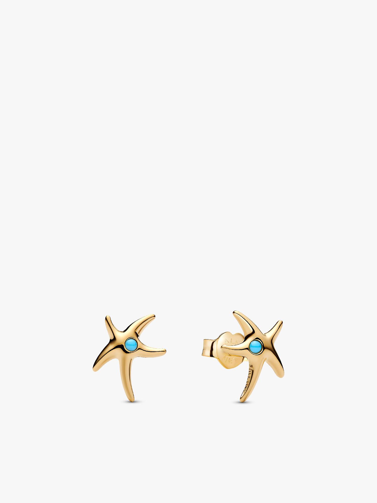 Aros de botón estrella de mar