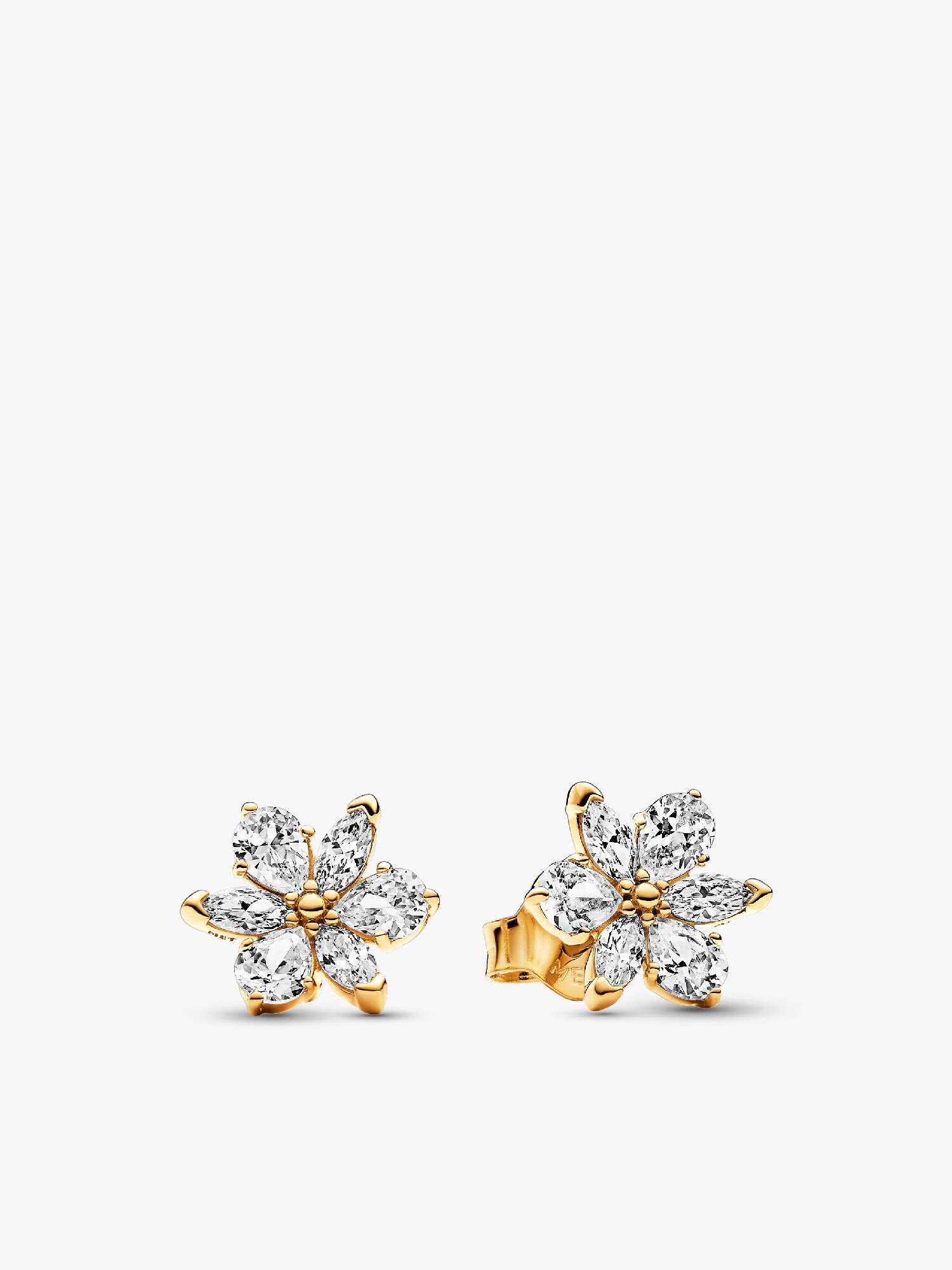 Aros de Botón Herbario Brillante
