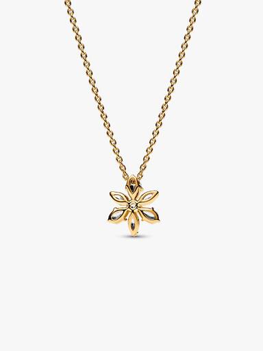 Collar Herbario Brillante